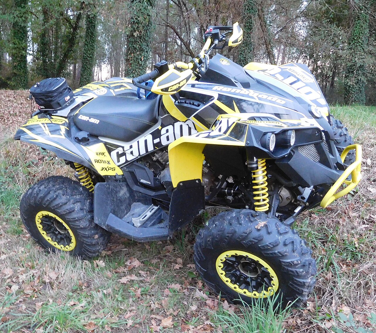 Can-Am Renegade