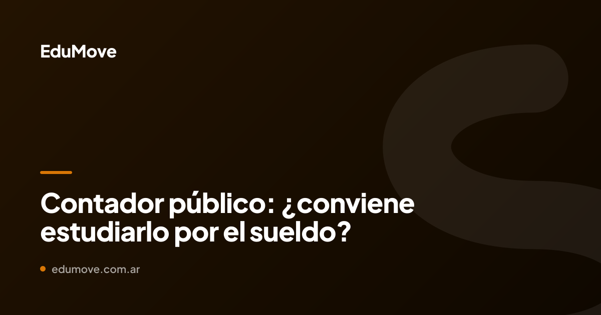 contador público
